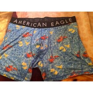 Vintage American Eagle Patterned Boxer Briefs with Pool Print